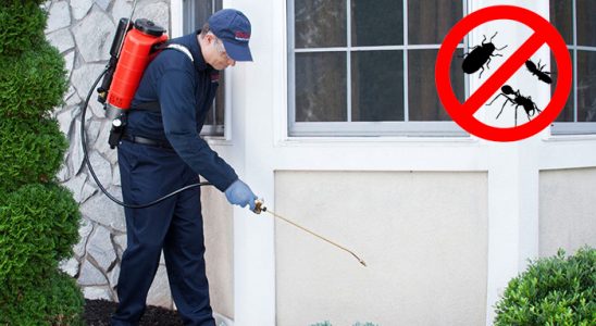 Taşkent Böcek ve Haşere İlaçlama böcek ilaçlama ve haşere kontrolü — ilaclama-tr.com